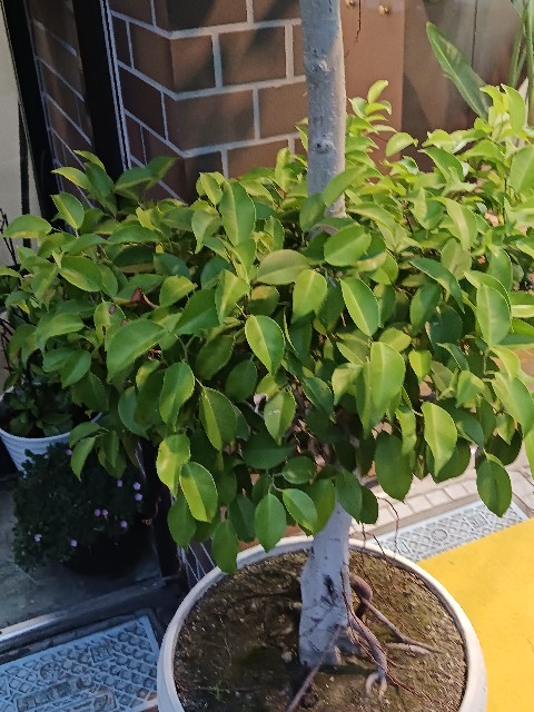 f:id:psa3103:20240921210314j:image