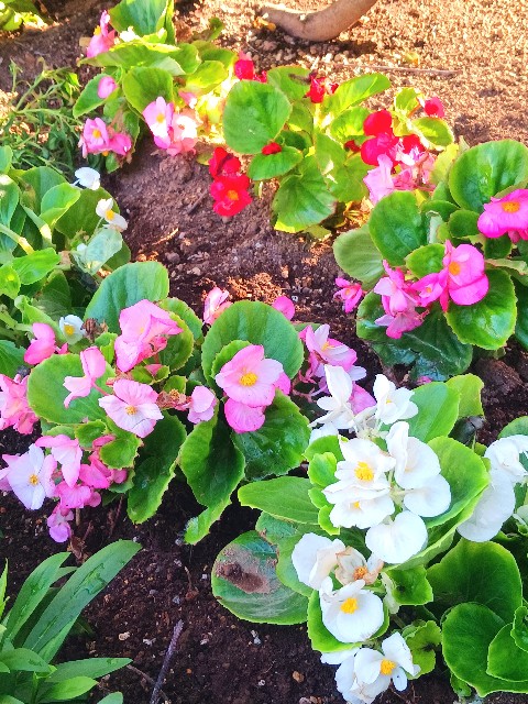 f:id:psa3103:20241001181602j:image