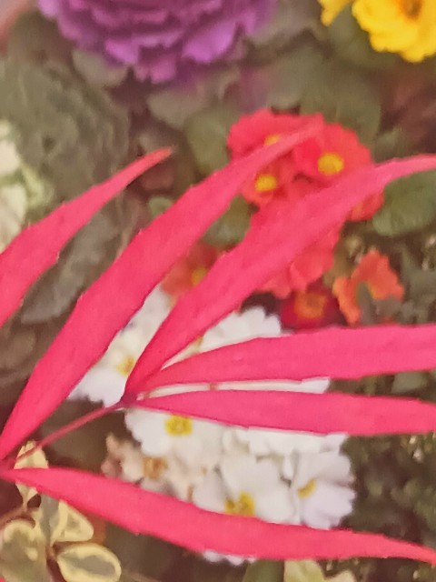 f:id:psa3103:20250301180829j:image