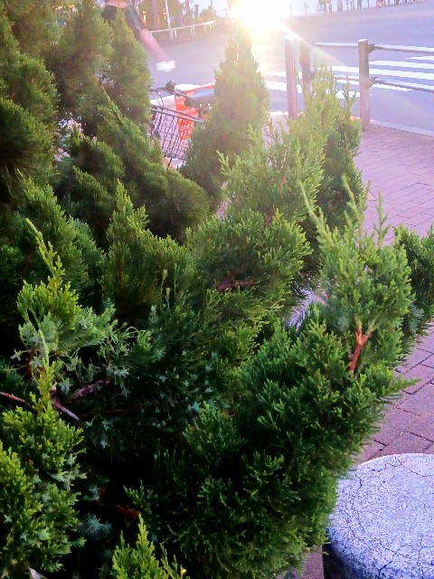 f:id:psa3103:20250804030514j:image