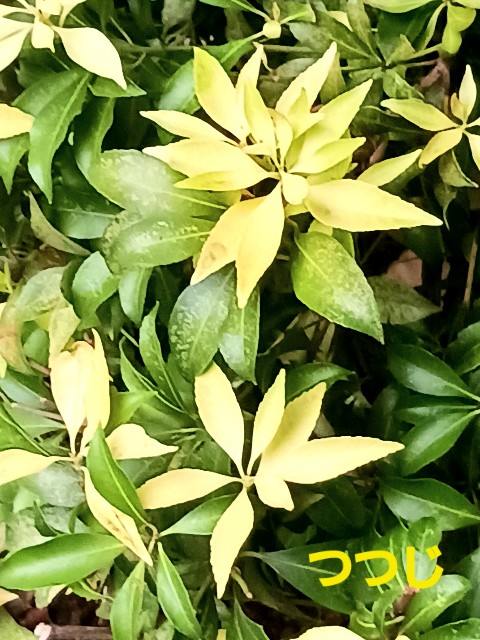 f:id:psa3103:20250906210949j:image f:id:psa3103:20250906210949j:image