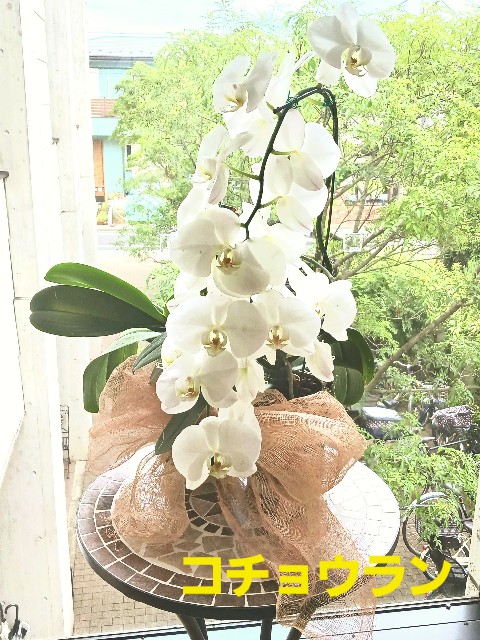 f:id:psa3103:20250914233742j:image