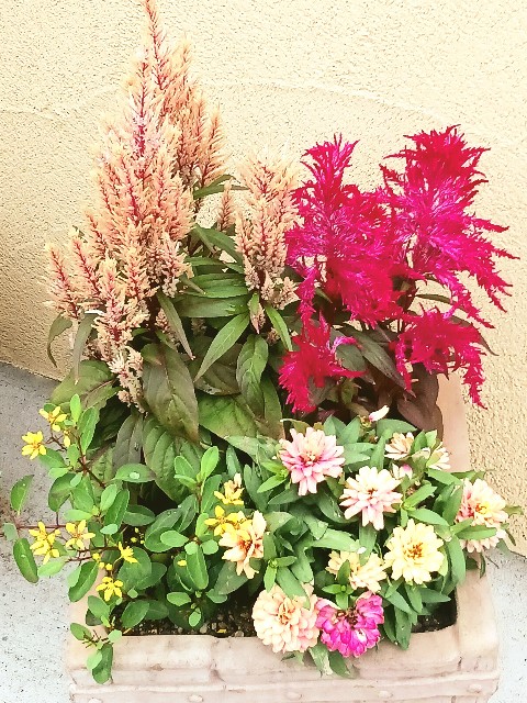 f:id:psa3103:20251020190953j:image f:id:psa3103:20251020190953j:image