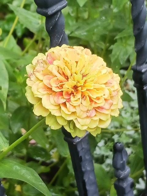 f:id:psa3103:20251113050428j:image