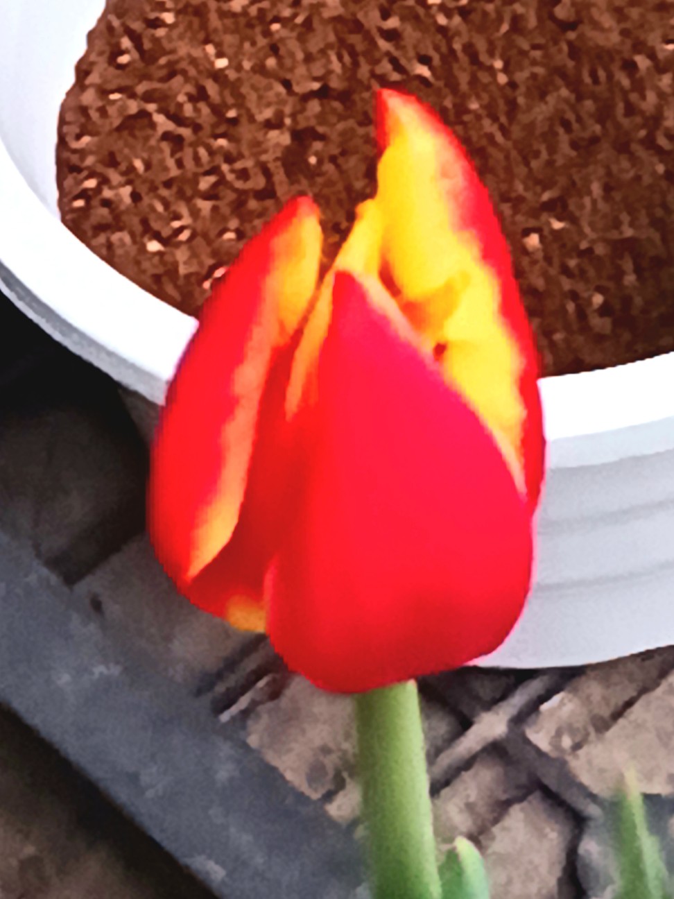 f:id:psa3103:20260121003422j:image