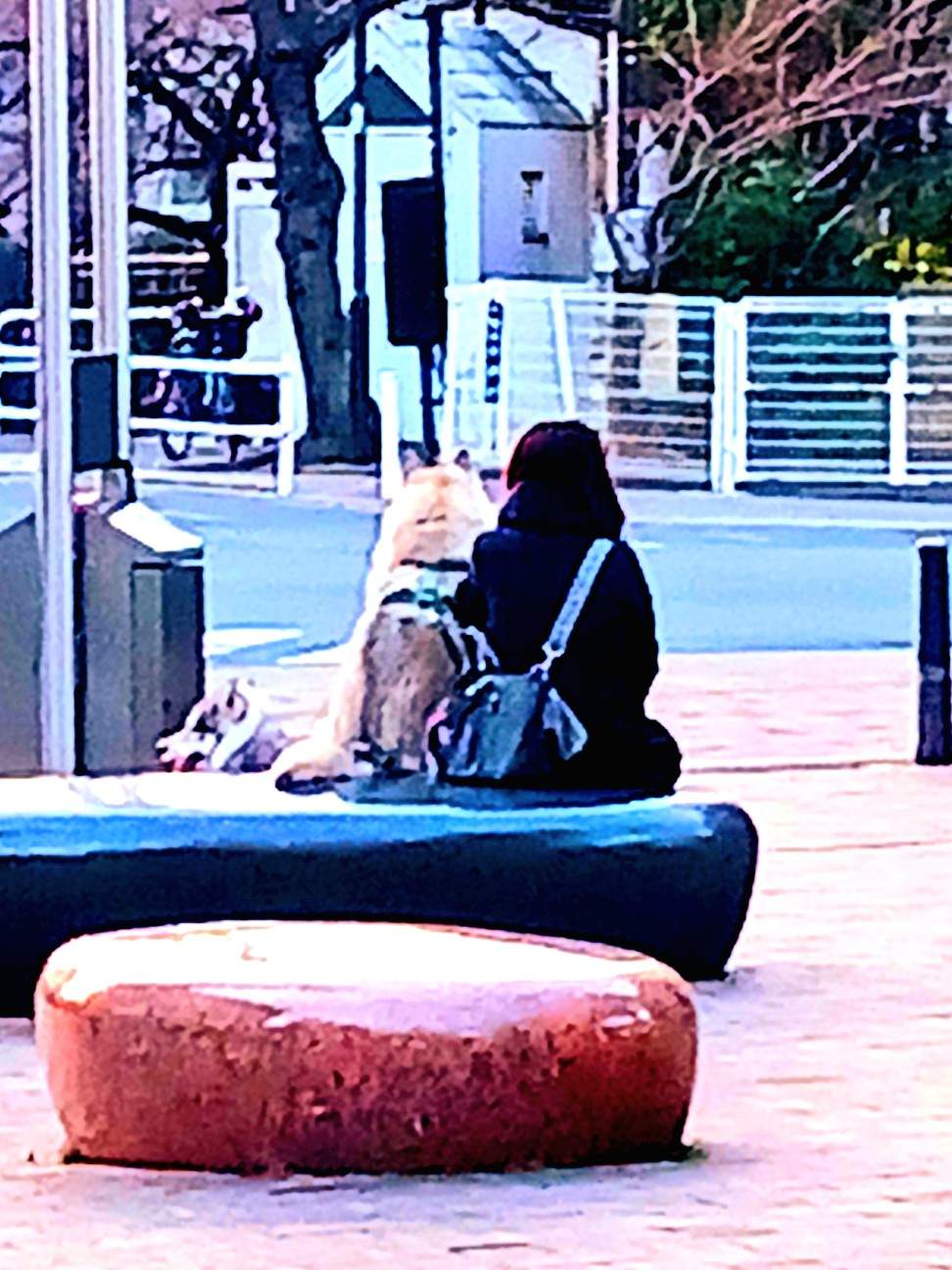 f:id:psa3103:20260128043730j:image f:id:psa3103:20260128043730j:image