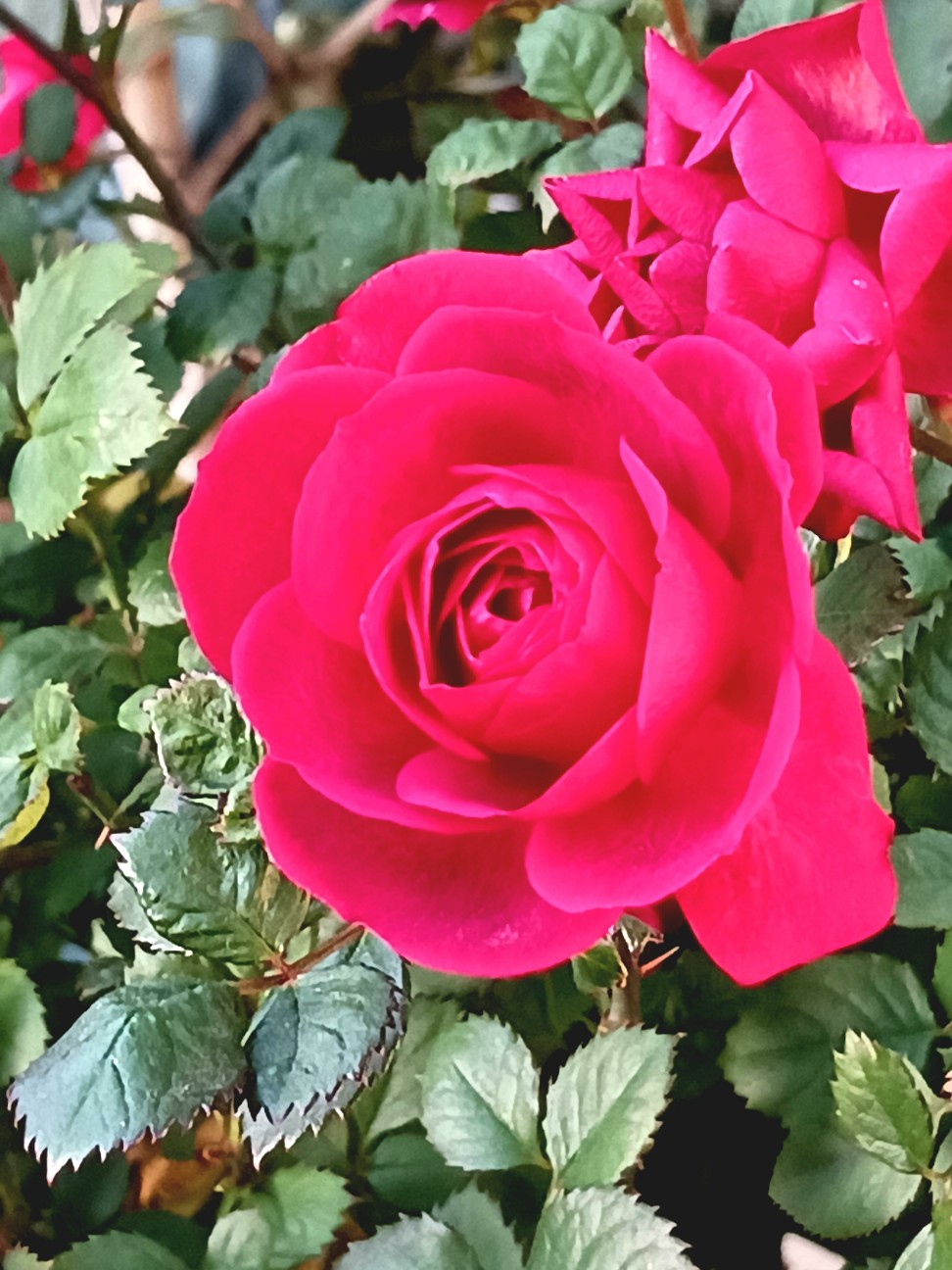 f:id:psa3103:20260130185142j:image