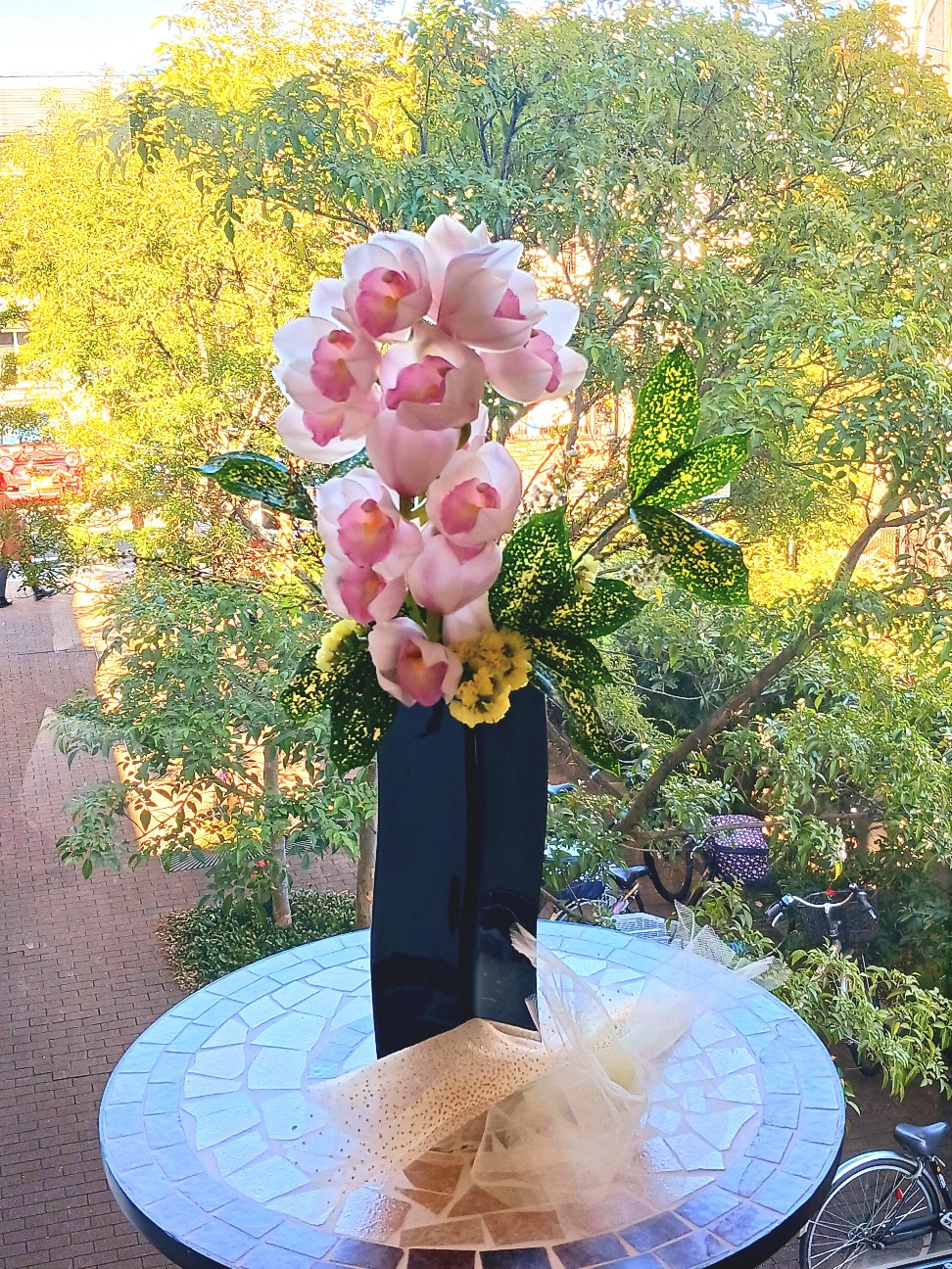 f:id:psa3103:20260202234220j:image