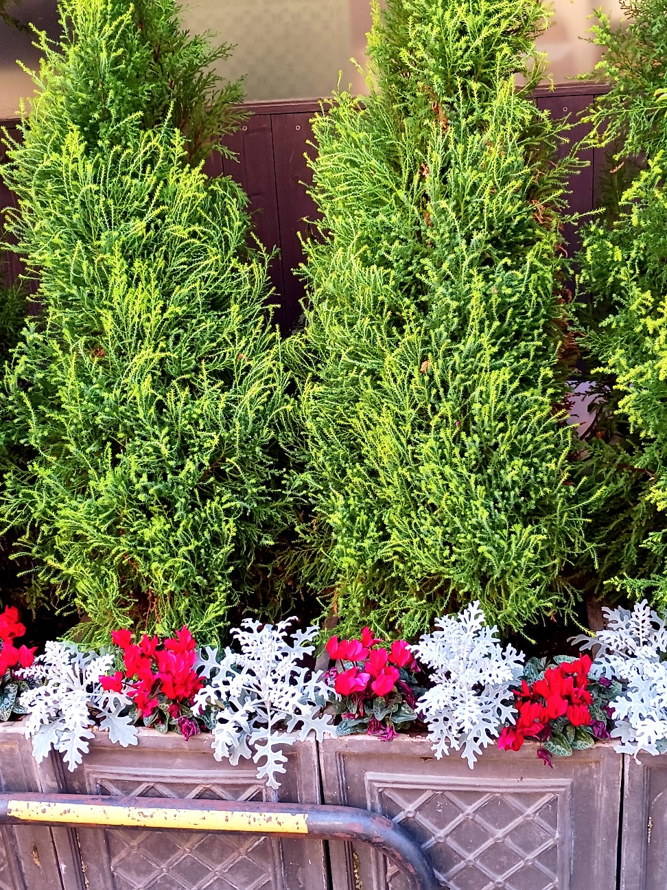 f:id:psa3103:20260205031527j:image