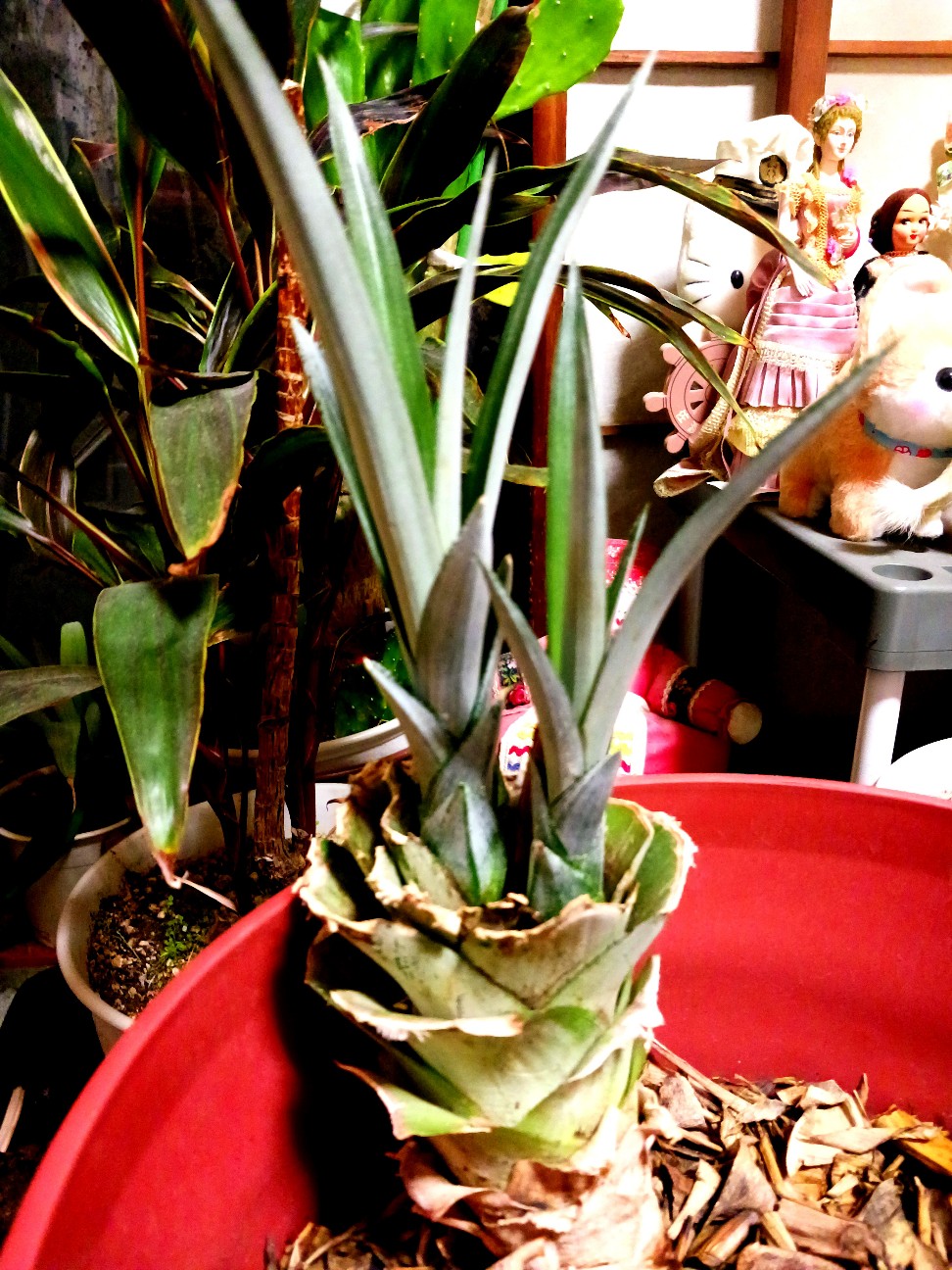 f:id:psa3103:20260210075909j:image