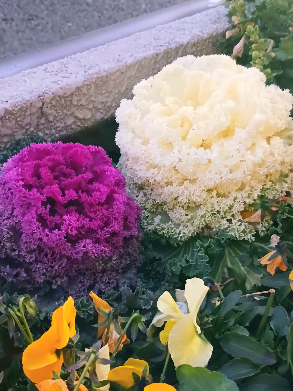 f:id:psa3103:20260214034446j:image