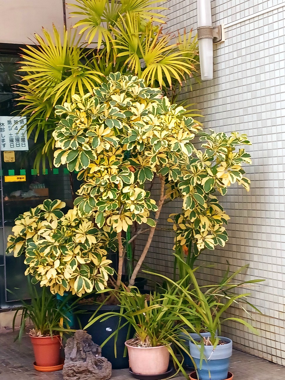 f:id:psa3103:20260221023339j:image