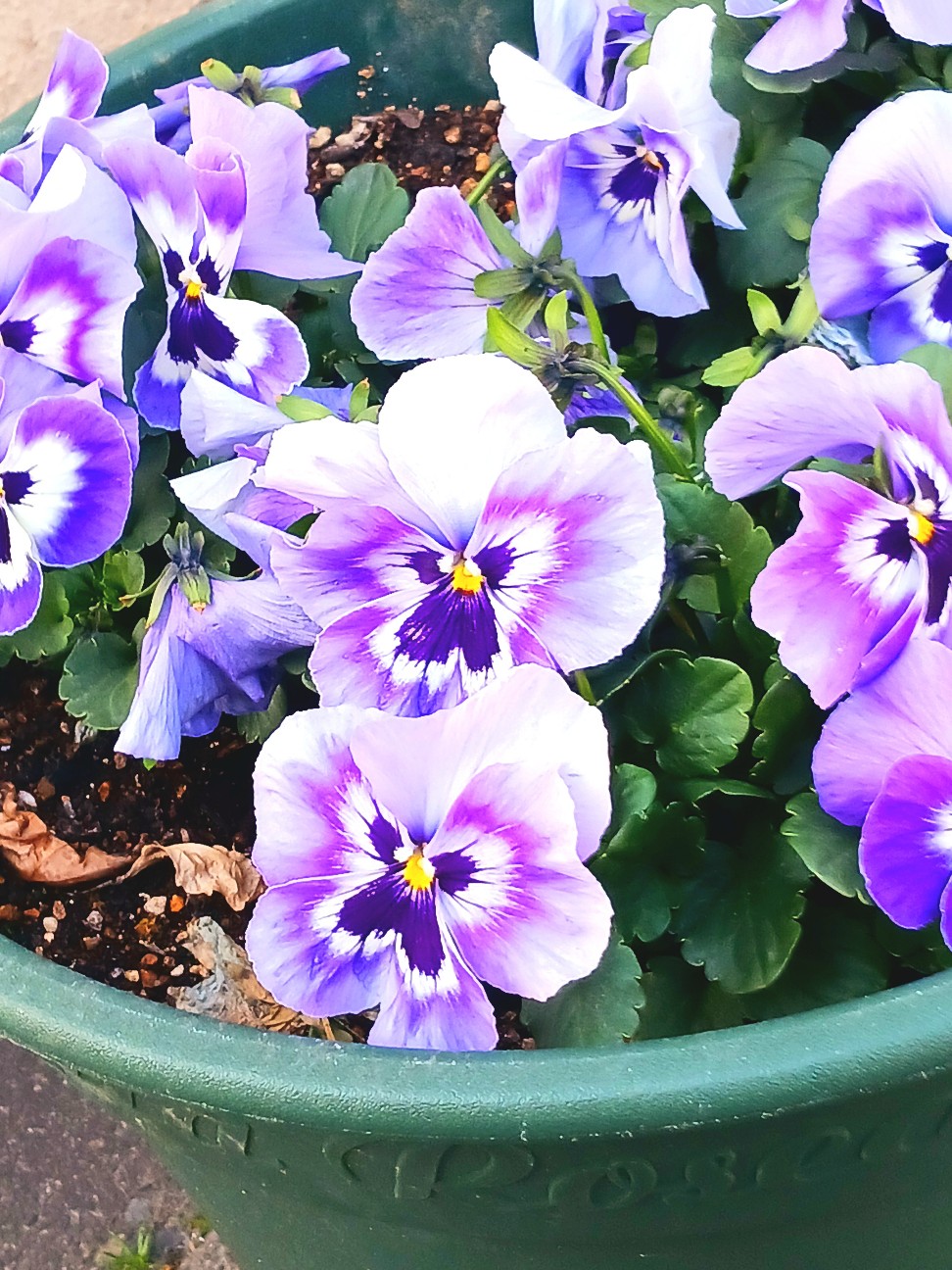 f:id:psa3103:20260221023430j:image