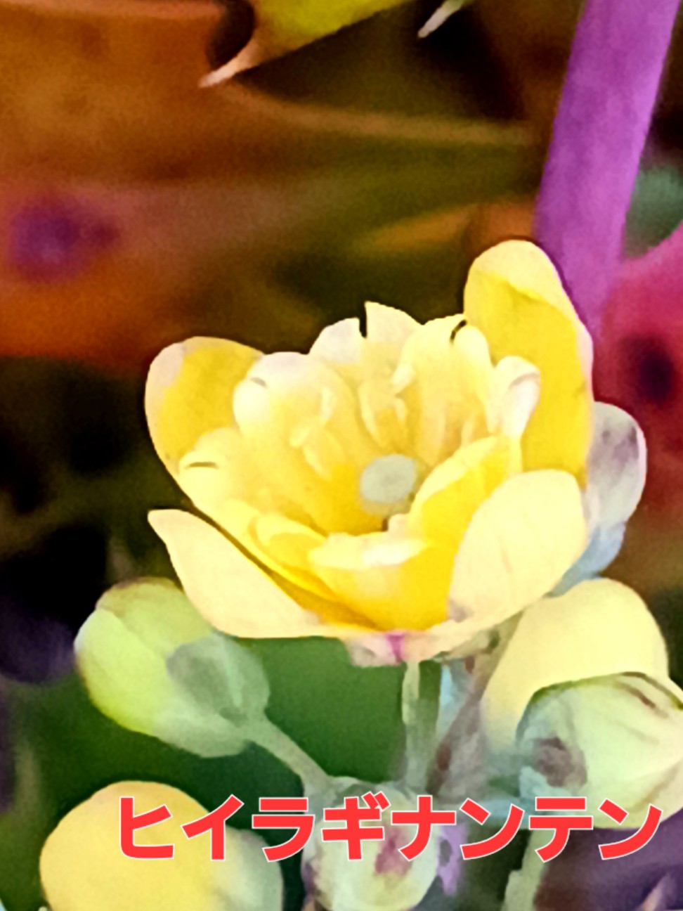 f:id:psa3103:20260224023409j:image