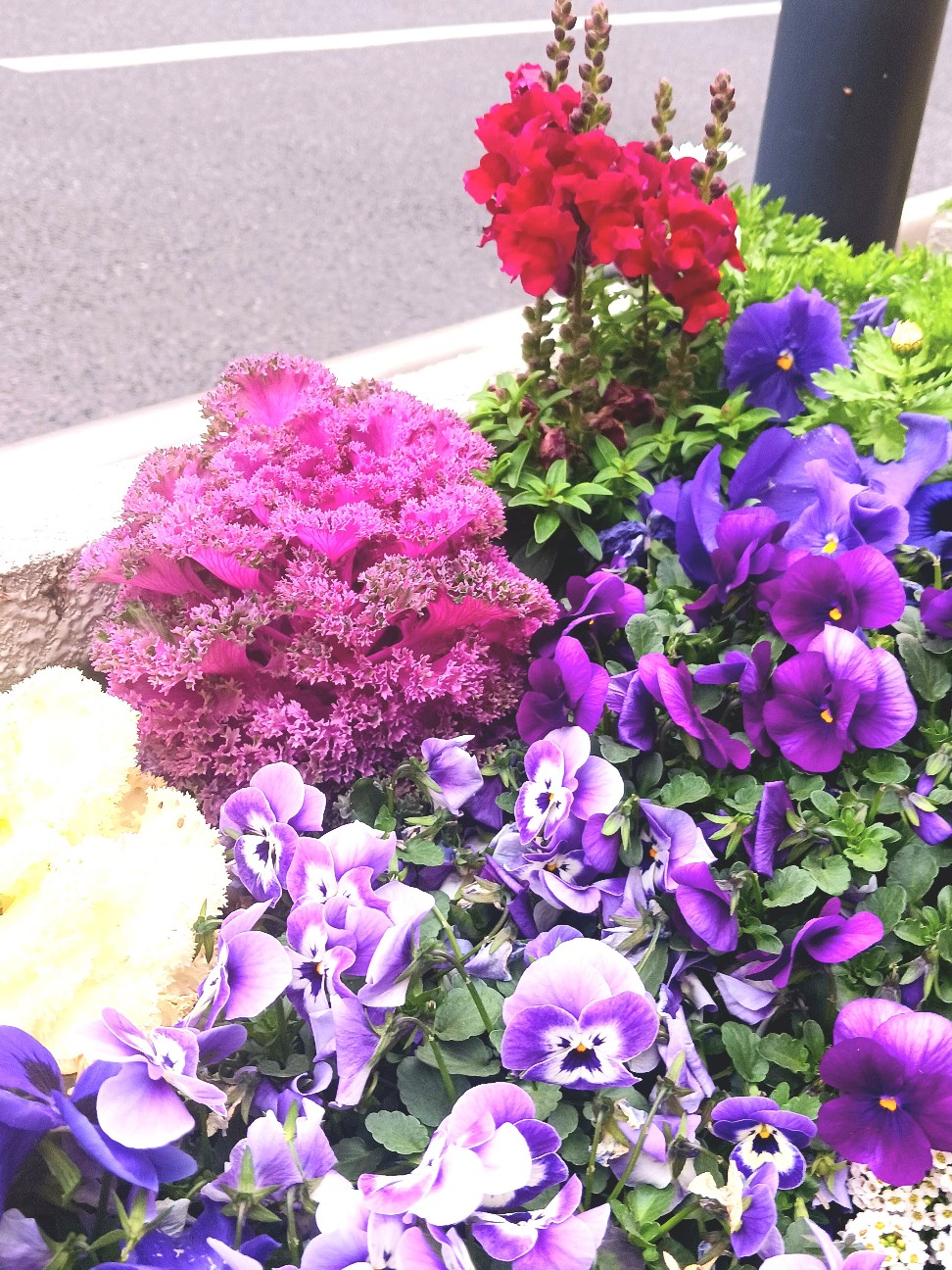f:id:psa3103:20260224220639j:image