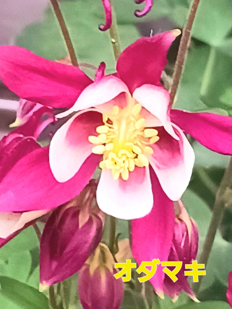f:id:psa3103:20260224220657j:image