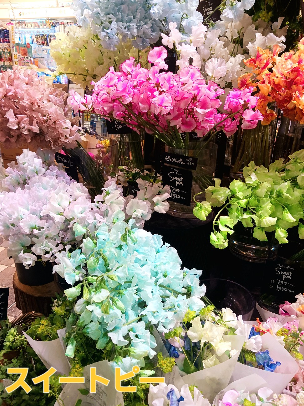 f:id:psa3103:20260227011552j:image