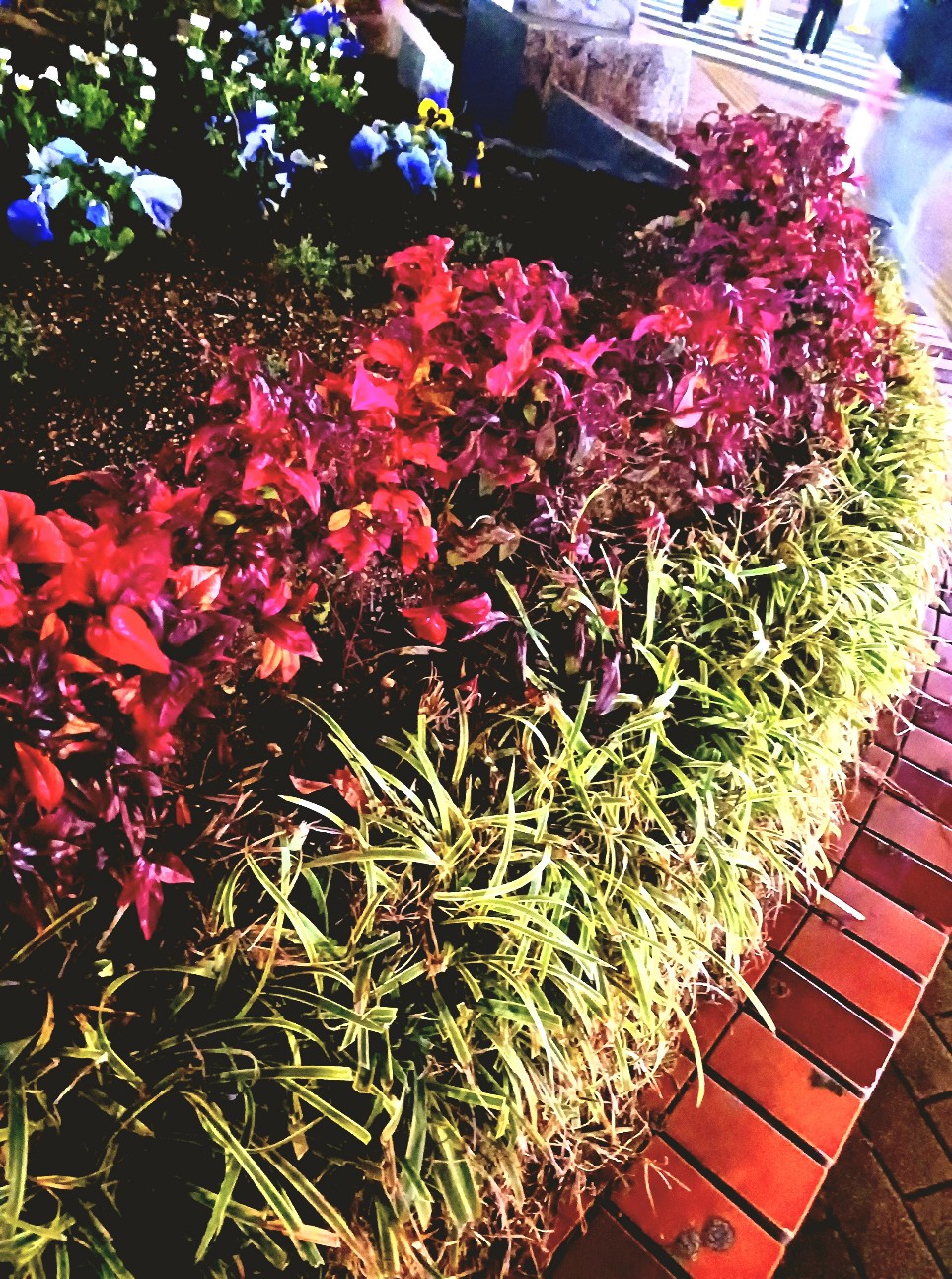 f:id:psa3103:20260301000809j:image