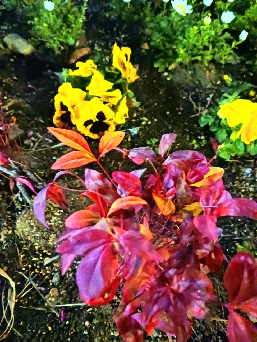 f:id:psa3103:20260301000810j:image