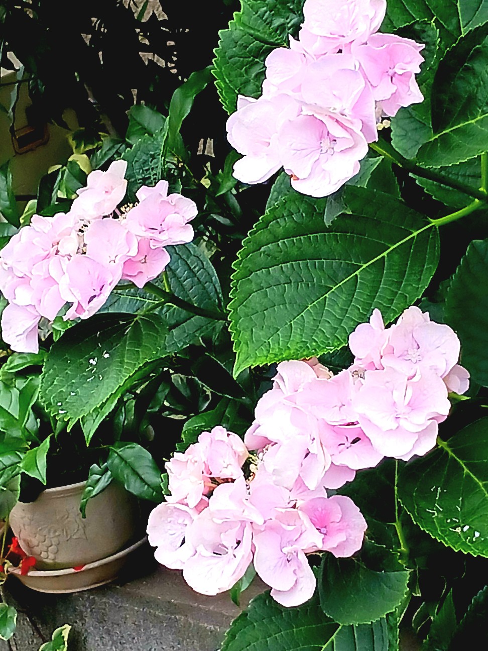 f:id:psa3103:20260612184000j:image
