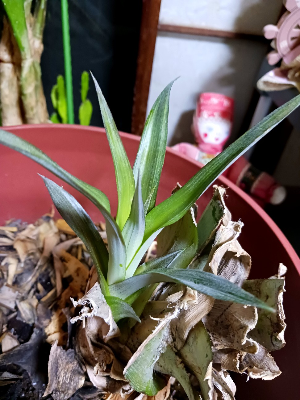 f:id:psa3103:20260620031823j:image