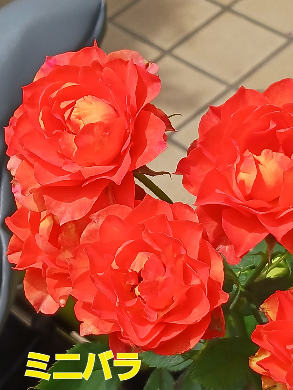 f:id:psa3103:20260620202443j:image
