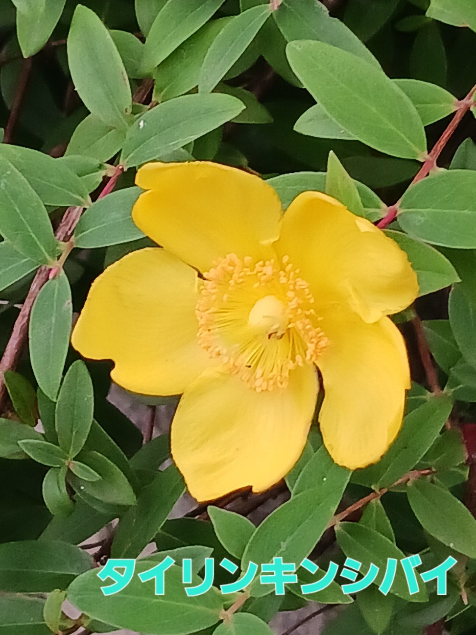 f:id:psa3103:20260623021533j:image