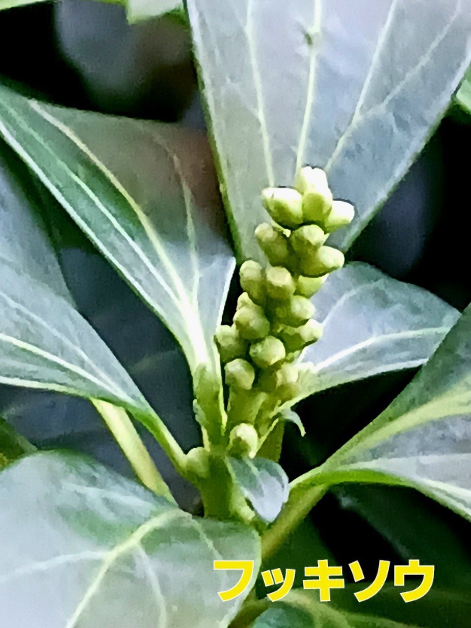 f:id:psa3103:20260722234226j:image