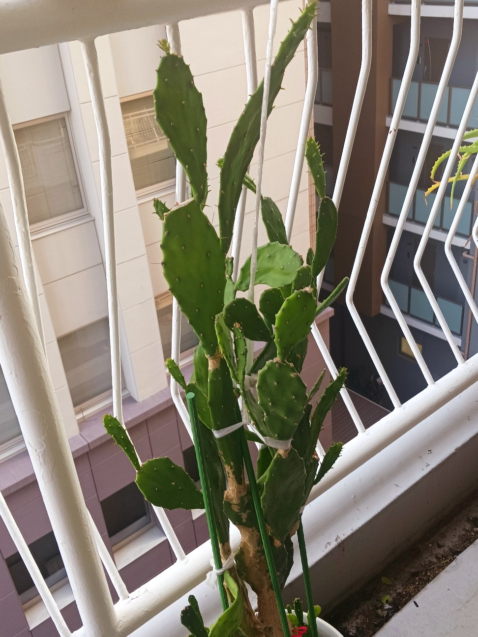 f:id:psa3103:20260725014340j:image