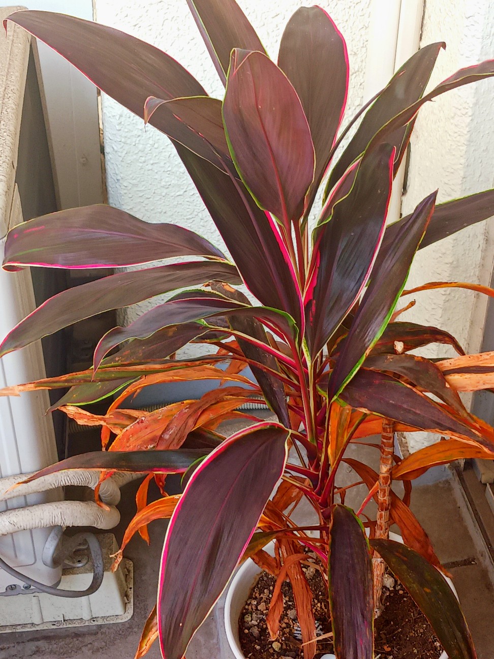 f:id:psa3103:20260725014341j:image
