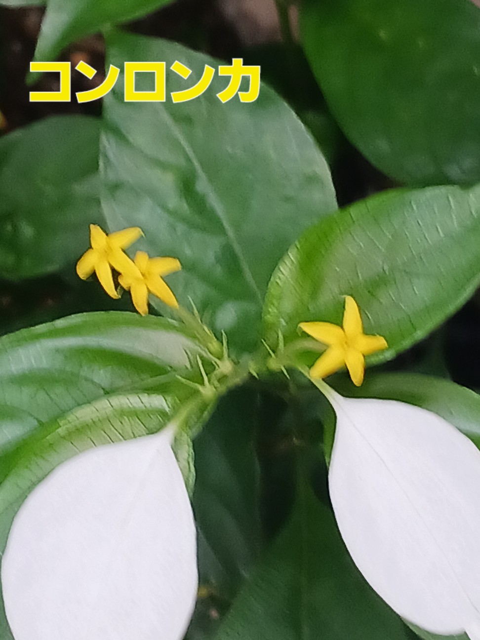 f:id:psa3103:20260902014904j:image