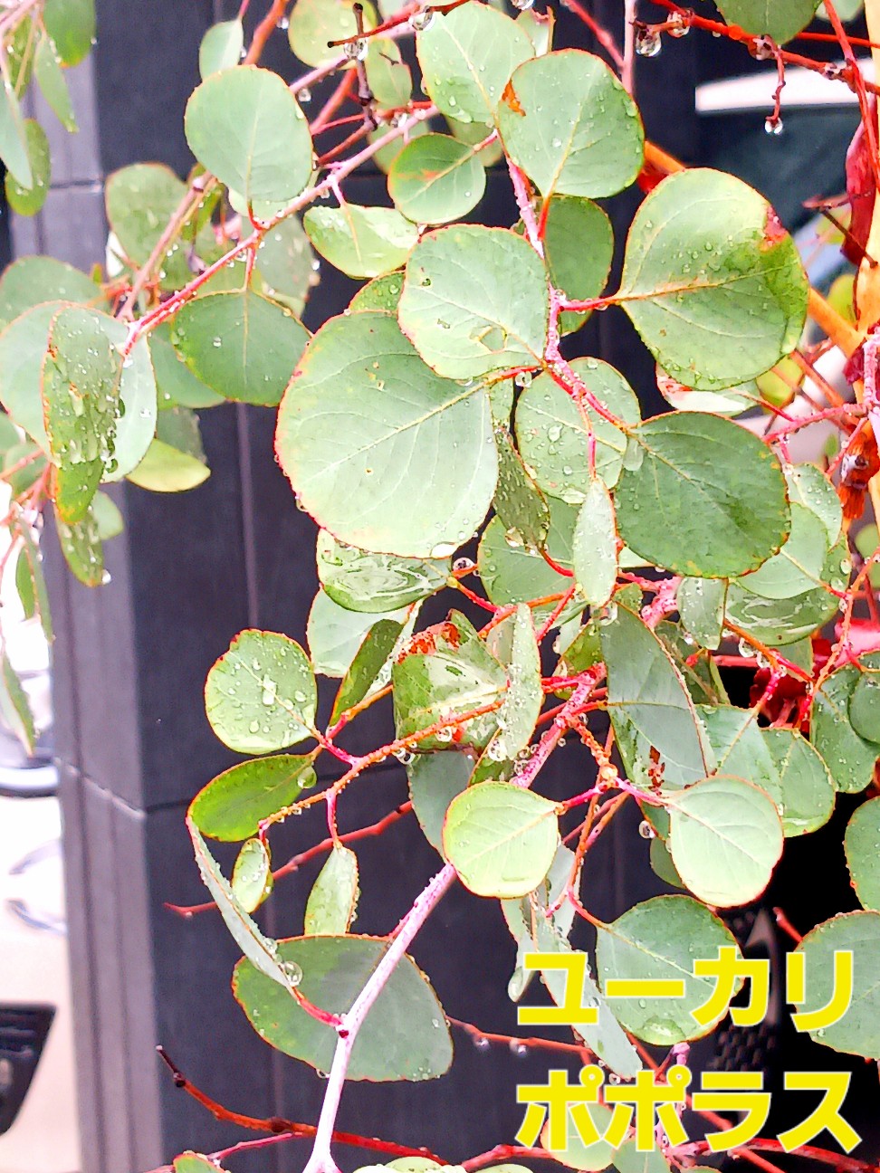 f:id:psa3103:20260902015645j:image