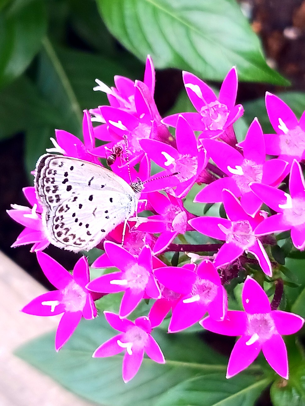 f:id:psa3103:20260905003144j:image