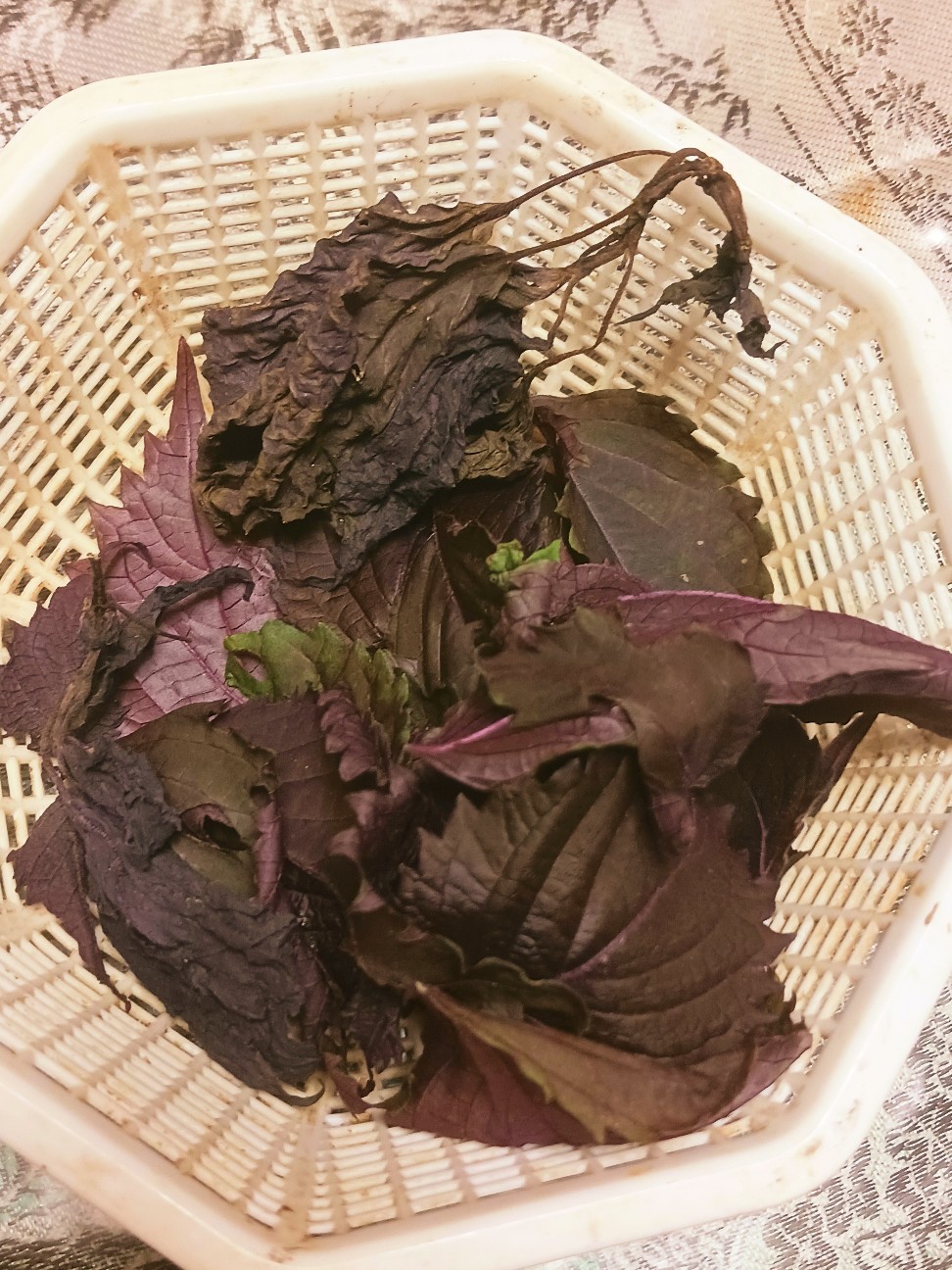 f:id:psa3103:20260913041605j:image