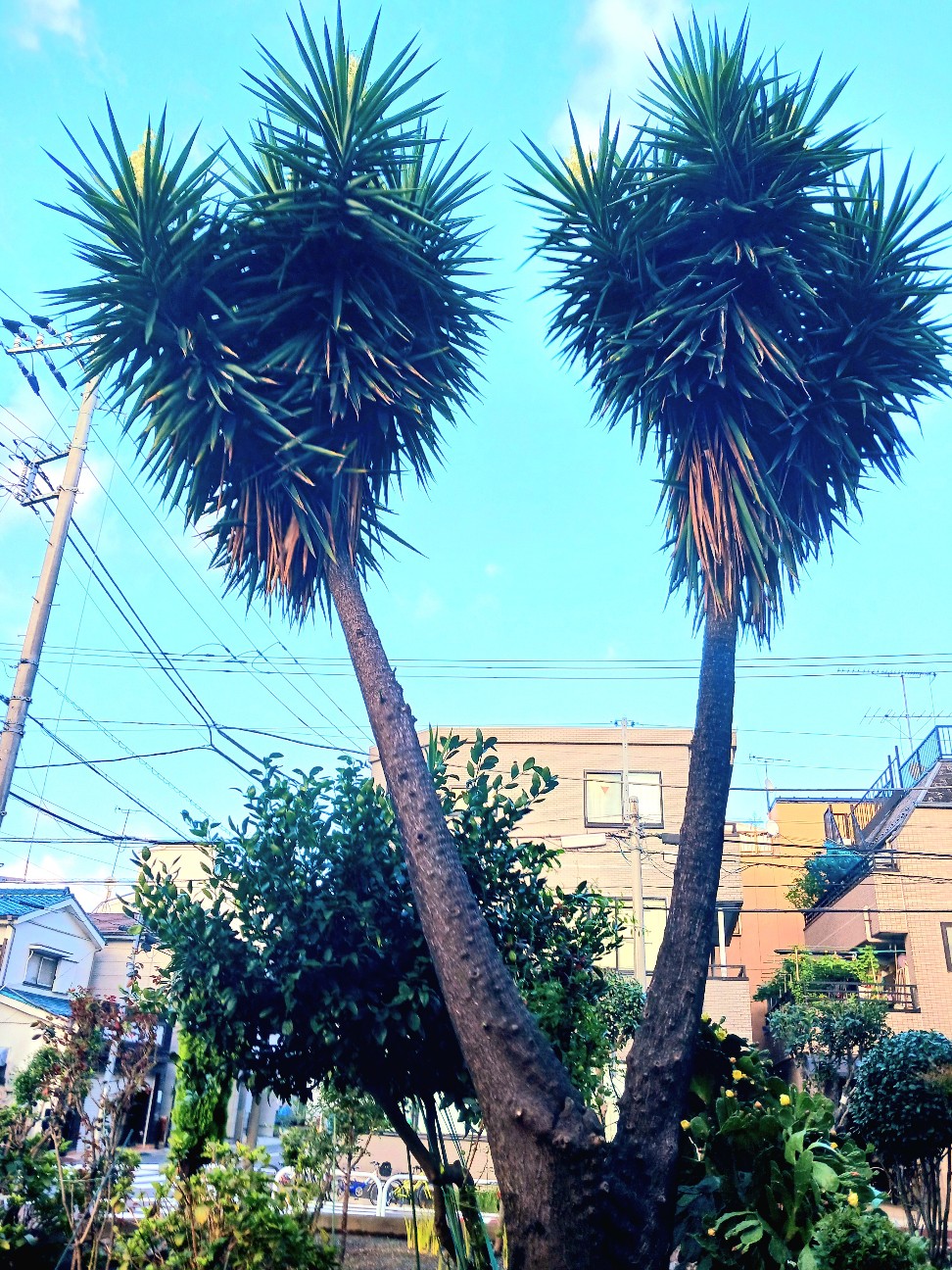 f:id:psa3103:20260917222640j:image