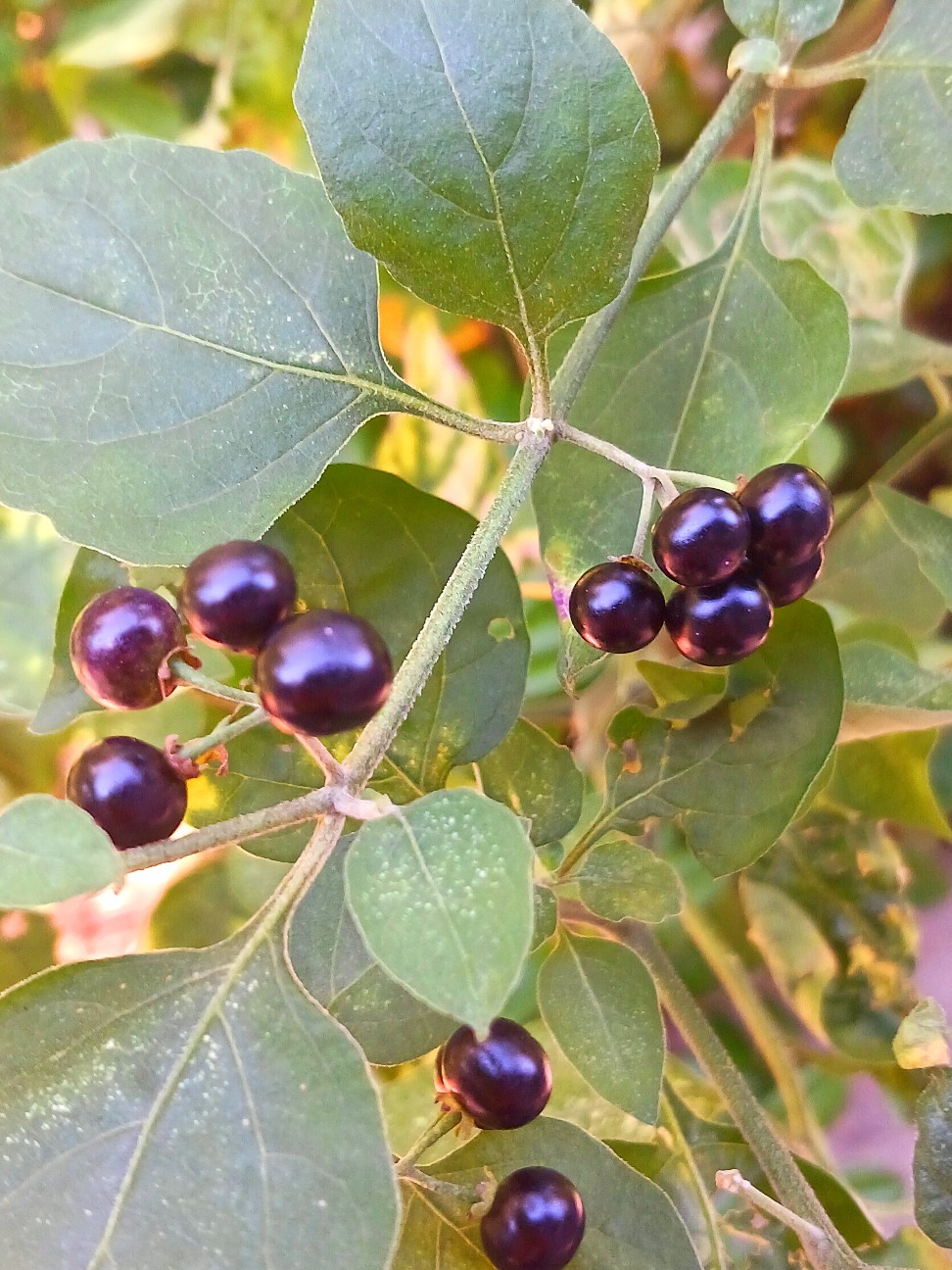 f:id:psa3103:20260918211505j:image