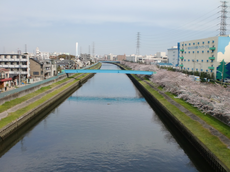 f:id:psanterawarosu:20110407145801j:image:w400