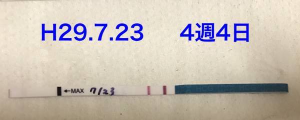 f:id:psaori:20180818220118j:plain f:id:psaori:20180818220118j:plain