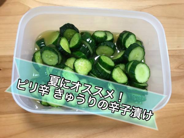 f:id:psaori:20180820124512j:plain f:id:psaori:20180820124512j:plain
