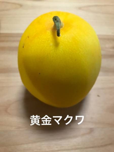 f:id:psaori:20180820142401j:plain f:id:psaori:20180820142401j:plain