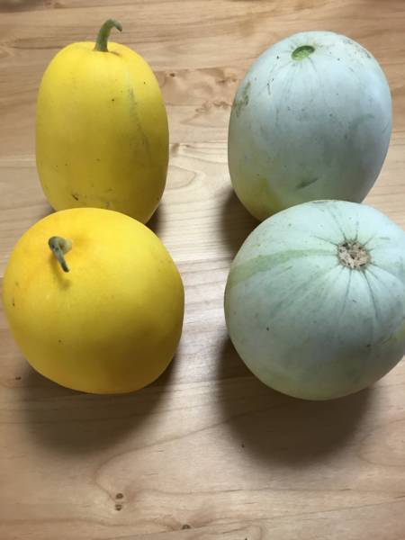 f:id:psaori:20180820142411j:plain f:id:psaori:20180820142411j:plain
