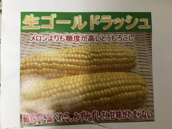 f:id:psaori:20180820165001j:plain f:id:psaori:20180820165001j:plain