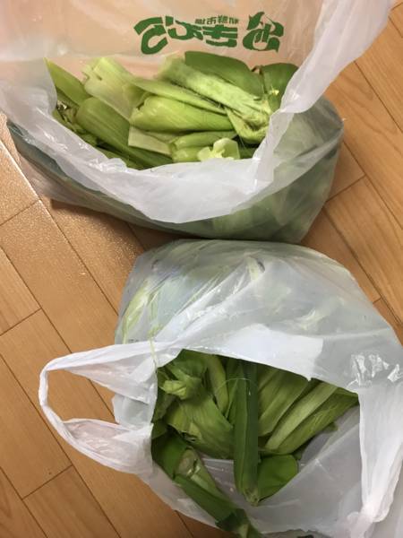 f:id:psaori:20180820165021j:plain f:id:psaori:20180820165021j:plain