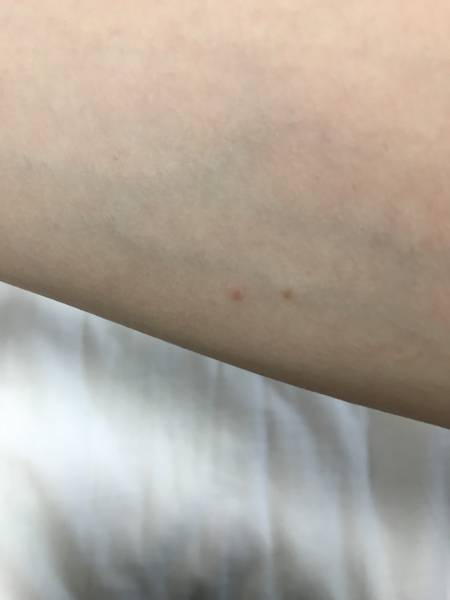 f:id:psaori:20180821032419j:plain f:id:psaori:20180821032419j:plain