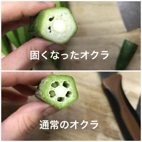 f:id:psaori:20180821100210j:plain f:id:psaori:20180821100210j:plain