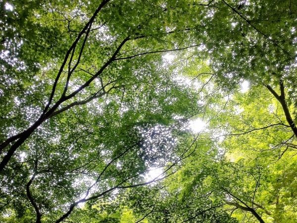 f:id:psaori:20180910095211j:plain f:id:psaori:20180910095211j:plain
