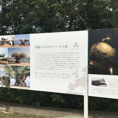 f:id:psaori:20181007044534j:plain f:id:psaori:20181007044534j:plain