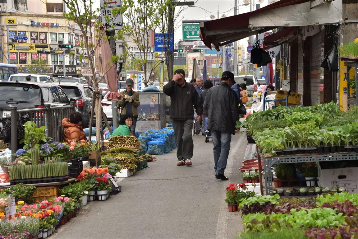 f:id:psato7:20190522054317j:plain