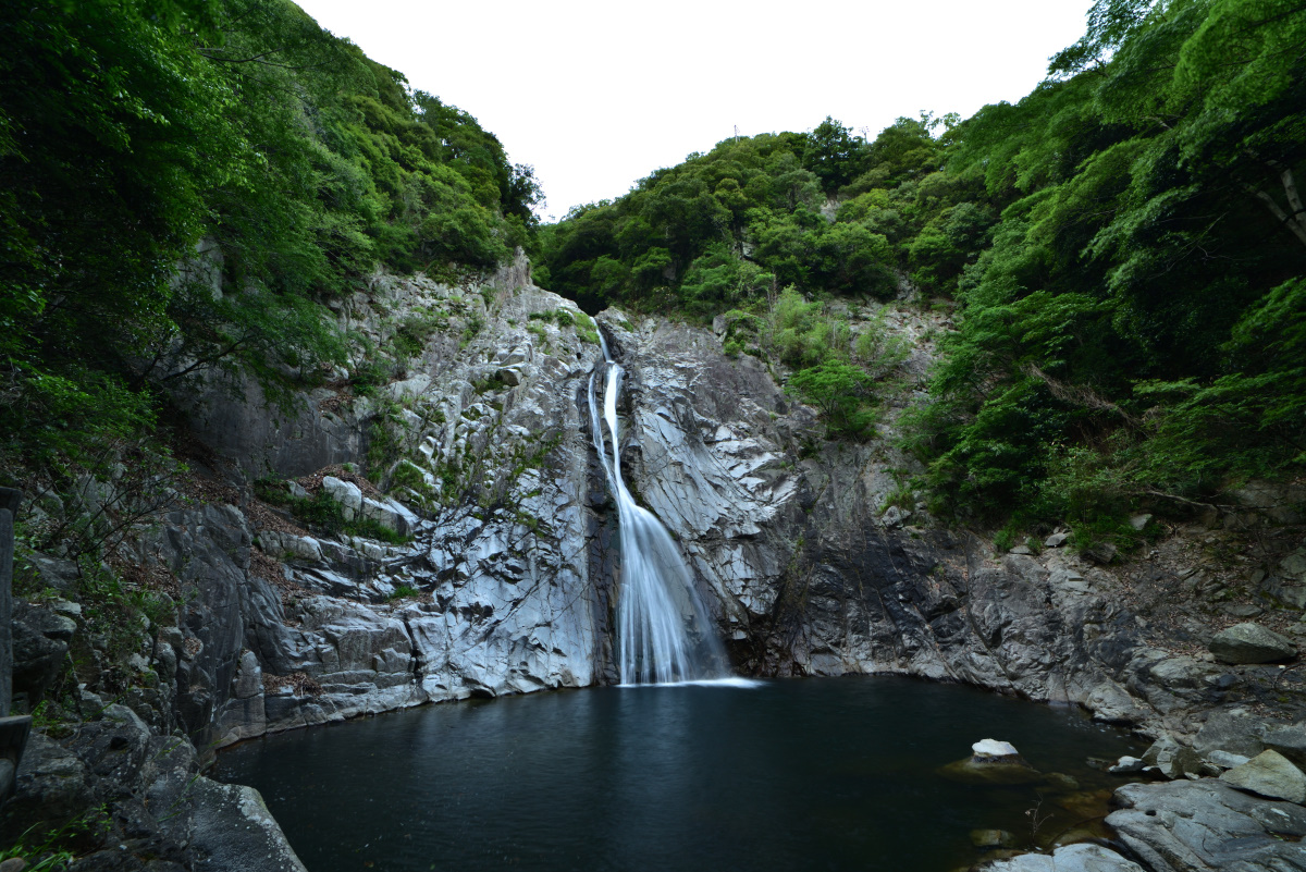 f:id:psato7:20190619074851j:plain f:id:psato7:20190619074851j:plain