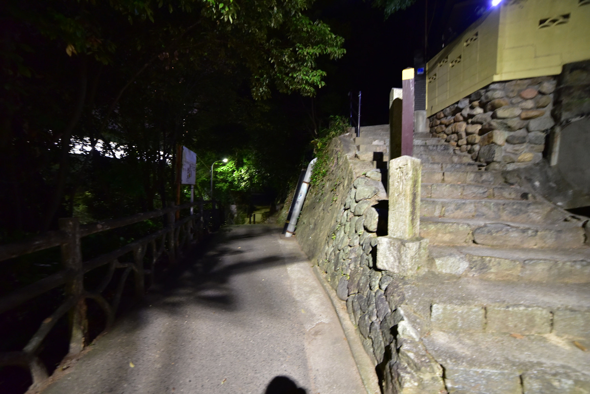 f:id:psato7:20190620062315j:plain